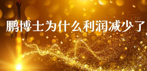 鹏博士为什么利润减少了_https://m.15771688.com_道指实时行情_第1张