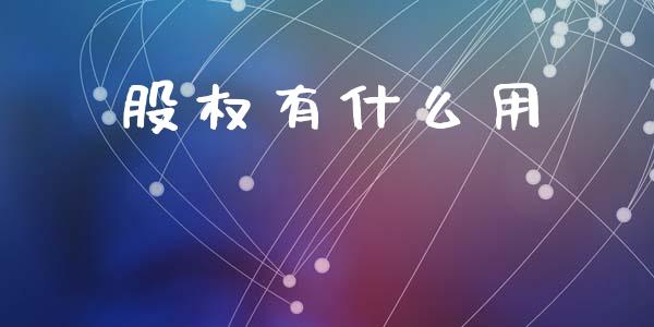 股权有什么用_https://m.15771688.com_美国道指_第1张