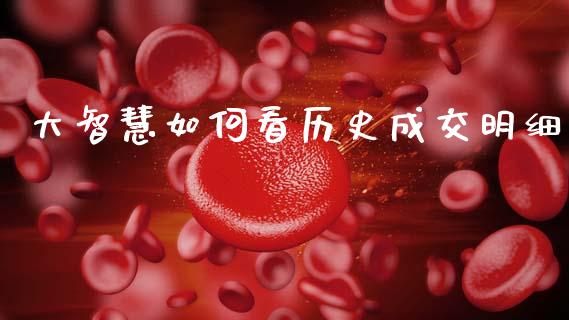 大智慧如何看历史成交明细_https://m.15771688.com_期货手续费_第1张