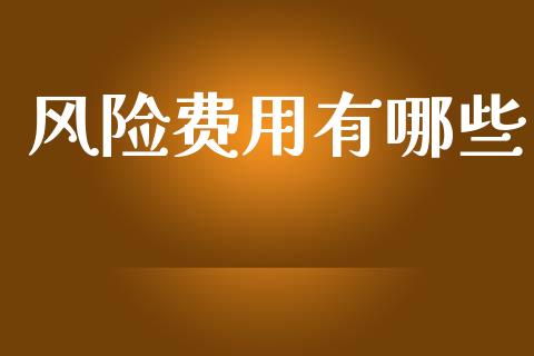 风险费用有哪些_https://m.15771688.com_美国道指_第1张