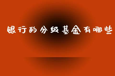 银行的分级基金有哪些_https://m.15771688.com_道指实时行情_第1张