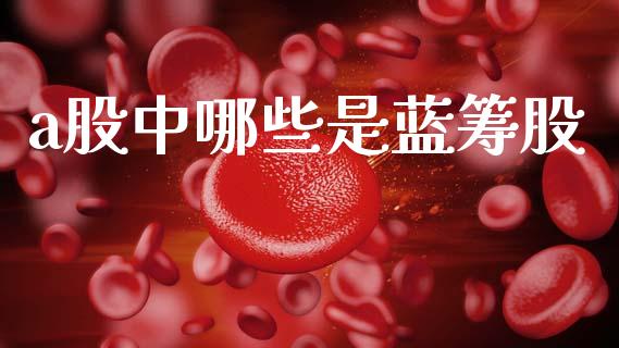 a股中哪些是蓝筹股_https://m.15771688.com_期货手续费_第1张