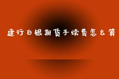 建行白银期货手续费怎么算_https://m.15771688.com_期货手续费_第1张