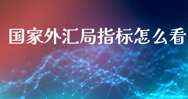 国家外汇局指标怎么看_https://m.15771688.com_期货开户_第1张