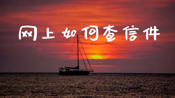 网上如何查信件_https://m.15771688.com_期货手续费_第1张