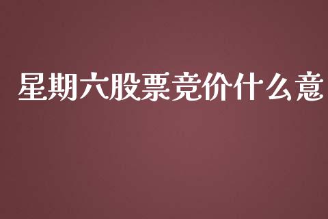 星期六股票竞价什么意_https://m.15771688.com_美国道指_第1张