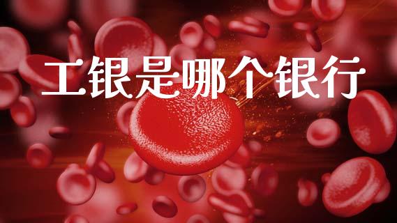 工银是哪个银行_https://m.15771688.com_期货手续费_第1张