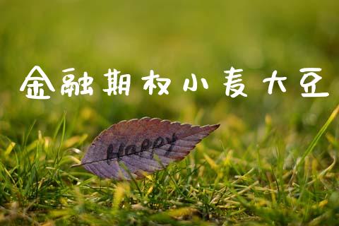 金融期权小麦大豆_https://m.15771688.com_期货开户_第1张
