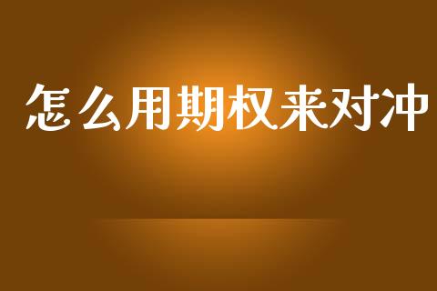 怎么用期权来对冲_https://m.15771688.com_道指实时行情_第1张