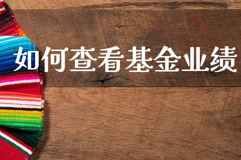 如何查看基金业绩_https://m.15771688.com_美国道指_第1张