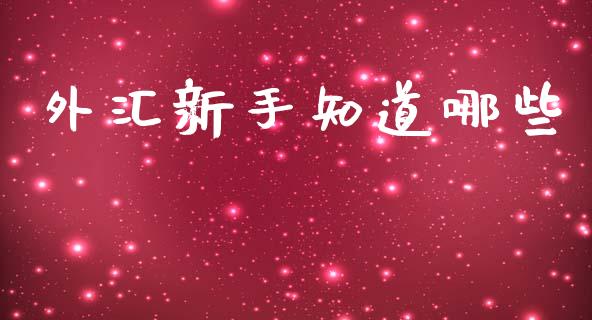 外汇新手知道哪些_https://m.15771688.com_期货开户_第1张