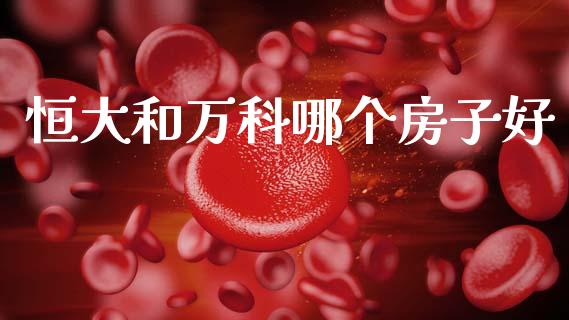 恒大和万科哪个房子好_https://m.15771688.com_期货开户_第1张