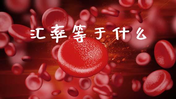 汇率等于什么_https://m.15771688.com_道指实时行情_第1张