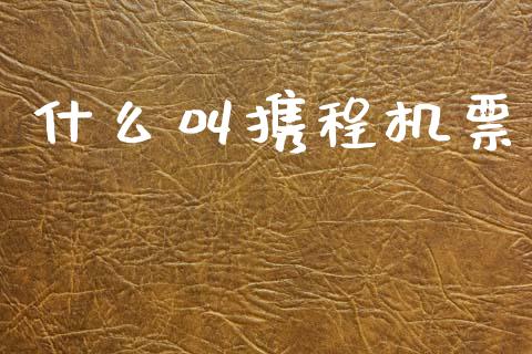 什么叫携程机票_https://m.15771688.com_道指实时行情_第1张