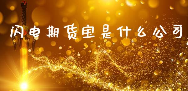 闪电期货宝是什么公司_https://m.15771688.com_美国道指_第1张