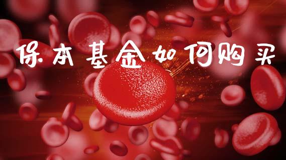 保本基金如何购买_https://m.15771688.com_道指实时行情_第1张