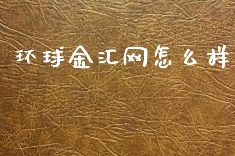 环球金汇网怎么样_https://m.15771688.com_期货开户_第1张