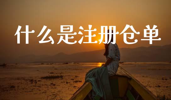什么是注册仓单_https://m.15771688.com_期货开户_第1张