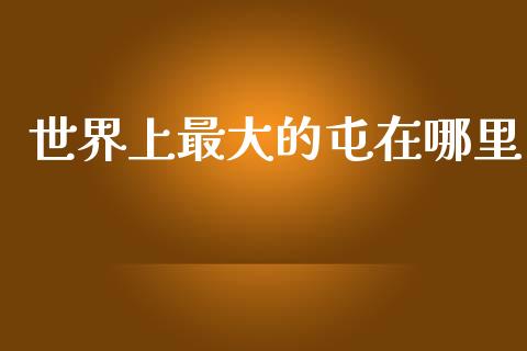 世界上最大的屯在哪里_https://m.15771688.com_期货开户_第1张