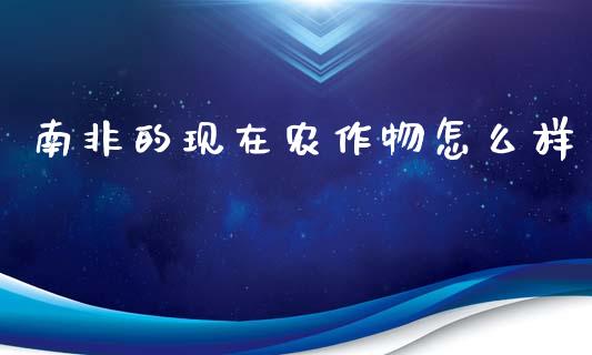 南非的现在农作物怎么样_https://m.15771688.com_美国道指_第1张