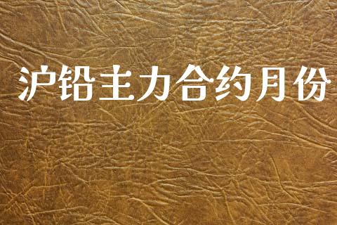沪铅主力合约月份_https://m.15771688.com_美国道指_第1张