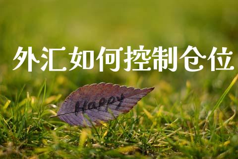 外汇如何控制仓位_https://m.15771688.com_道指实时行情_第1张