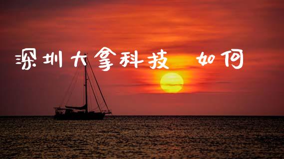 深圳大拿科技  如何_https://m.15771688.com_道指实时行情_第1张