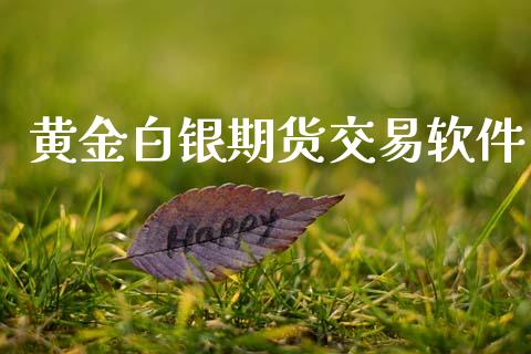 黄金白银期货交易软件_https://m.15771688.com_期货手续费_第1张
