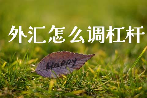 外汇怎么调杠杆_https://m.15771688.com_期货开户_第1张