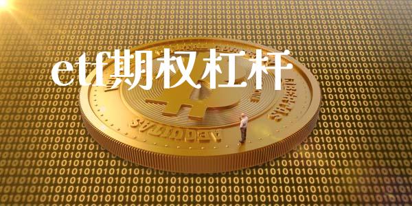 etf期权杠杆_https://m.15771688.com_期货手续费_第1张