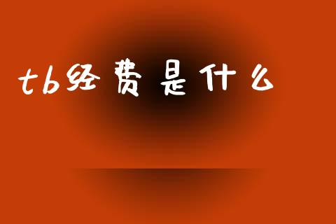 tb经费是什么_https://m.15771688.com_道指实时行情_第1张
