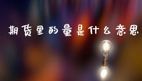 期货里的量是什么意思_https://m.15771688.com_期货开户_第1张
