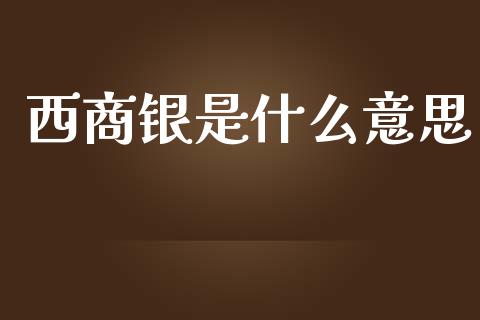 西商银是什么意思_https://m.15771688.com_期货手续费_第1张