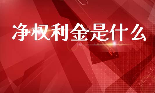 净权利金是什么_https://m.15771688.com_道指实时行情_第1张