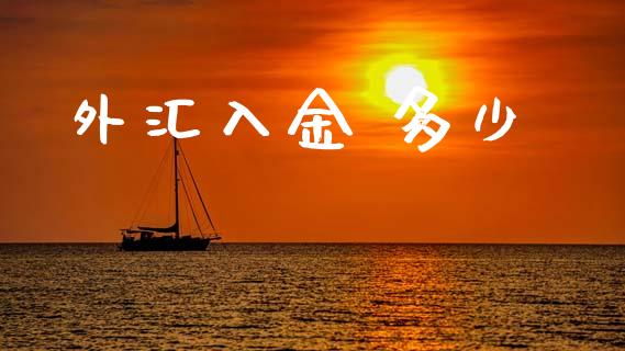 外汇入金 多少_https://m.15771688.com_道指实时行情_第1张