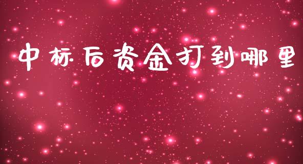 中标后资金打到哪里_https://m.15771688.com_道指实时行情_第1张