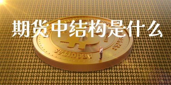期货中结构是什么_https://m.15771688.com_期货手续费_第1张