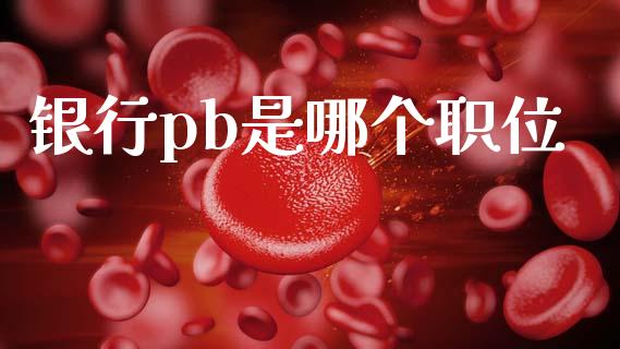 银行pb是哪个职位_https://m.15771688.com_道指实时行情_第1张