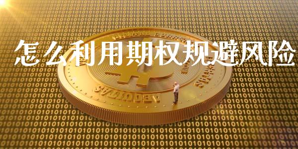怎么利用期权规避风险_https://m.15771688.com_美国道指_第1张