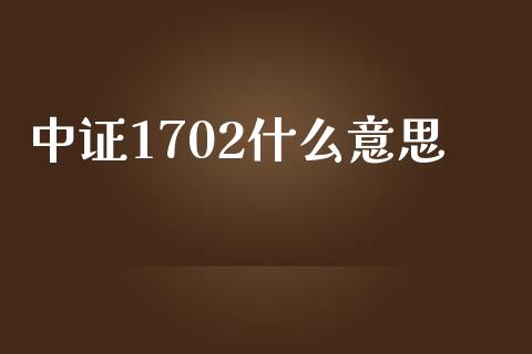 中证1702什么意思_https://m.15771688.com_美国道指_第1张