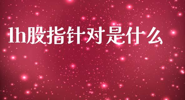 lh股指针对是什么_https://m.15771688.com_道指实时行情_第1张