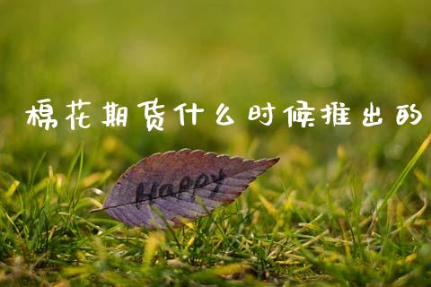 棉花期货什么时候推出的_https://m.15771688.com_美国道指_第1张