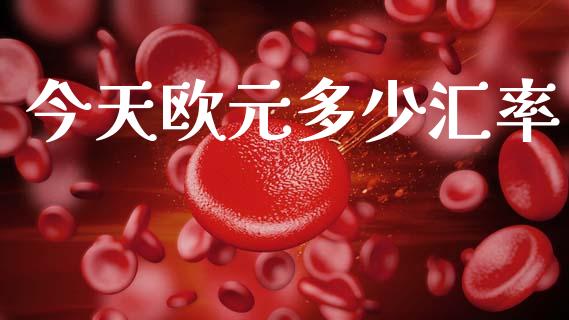 今天欧元多少汇率_https://m.15771688.com_期货开户_第1张