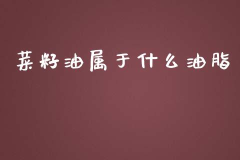 菜籽油属于什么油脂_https://m.15771688.com_美国道指_第1张