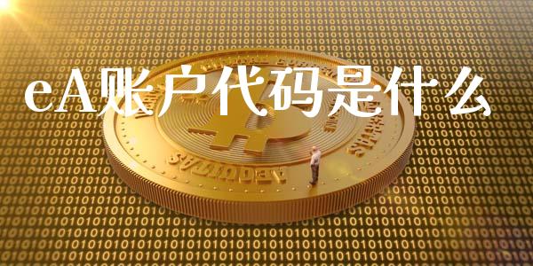 eA账户代码是什么_https://m.15771688.com_期货开户_第1张