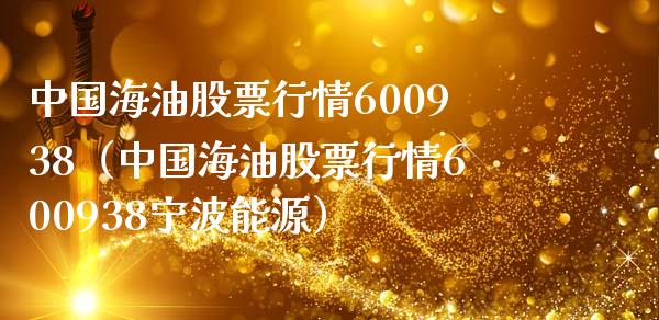中国海油股票行情600938（中国海油股票行情600938宁波能源）_https://m.15771688.com_期货开户_第1张