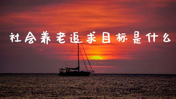 社会养老追求目标是什么_https://m.15771688.com_美国道指_第1张