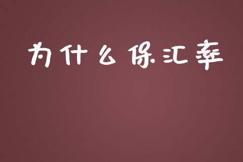 为什么保汇率_https://m.15771688.com_期货手续费_第1张