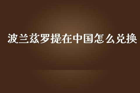 波兰兹罗提在中国怎么兑换_https://m.15771688.com_期货开户_第1张