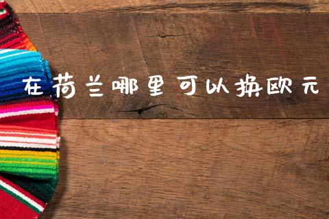 在荷兰哪里可以换欧元_https://m.15771688.com_美国道指_第1张
